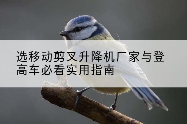 阎良电动升降机厂家-选移动剪叉升降机厂家与登高车必看实用指南