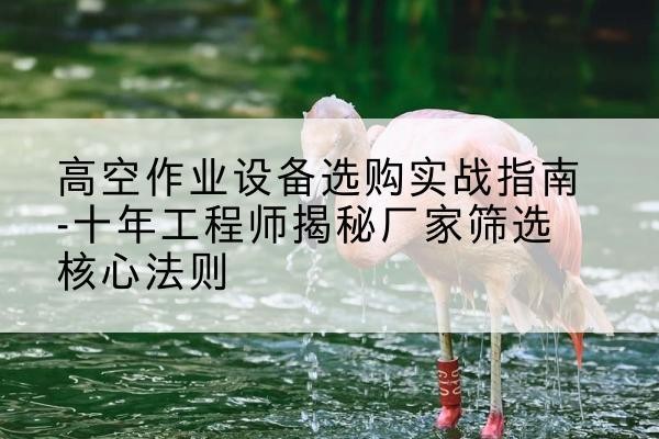 阎良剪叉式升降机厂家-高空作业设备选购实战指南-十年工程师揭秘厂家筛选核心法则