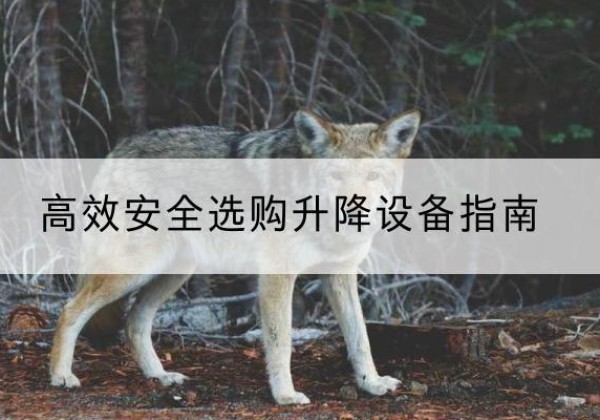 阎良升降货梯厂家推荐-*安全选购升降设备指南