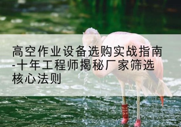 阎良剪叉式升降机厂家-高空作业设备选购实战指南-十年工程师揭秘厂家筛选核心法则